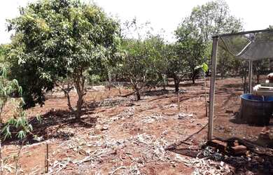 Imagem 4: troca por casa ou apto em londrina