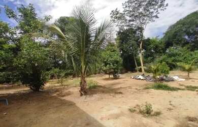 Imagem: A chácara possui 30.000m² de Área e está localizado em