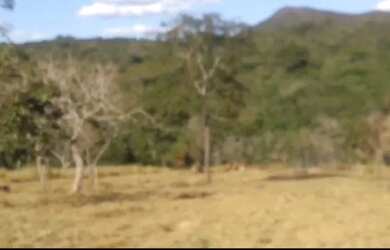 Imagem: A chácara possui 20.000m² de Área e está localizado em