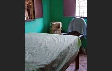 Imagem 3: Vendo ou Alugo Casa com 2 dormitórios