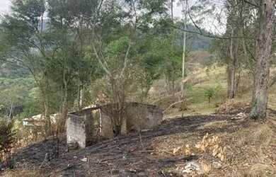 Imagem 5: Lote. 550m² de Área