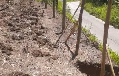 Imagem 4: Vende-se terreno Para sítio em Aruja