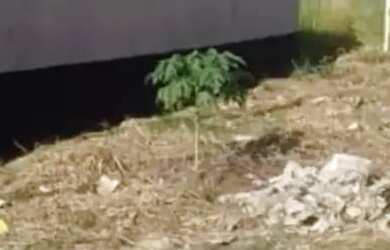 Imagem: O terreno possui 150m² de Área e está localizado em Jardim