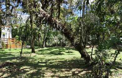 Imagem 7: Terreno em condomínio fechado no centro de Canela