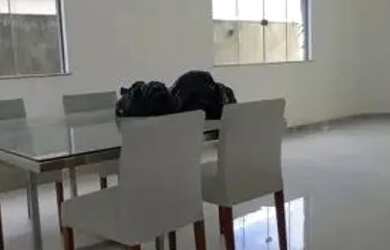 Imagem 4: Casa em Condomínio para Locação em Camaçari, Abrantes, 4 dormitórios,...