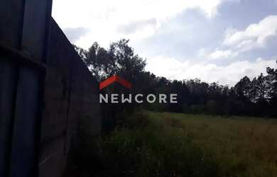 Imagem 4: Lote em Rua Oscalina Mendes Rodrigues - Filipinho - Embu-Guaçu/SP