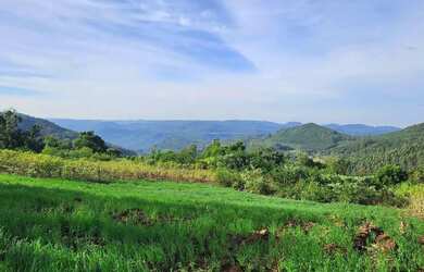 Imagem 3: Terreno para Venda em Nova Petrópolis, Linha Olinda