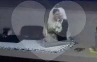 Imagem: O apartamento possui 1 Dormitório, 1 Banheiro, 32m² de Área