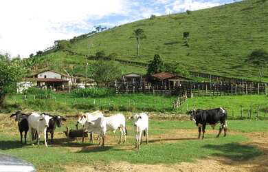 Imagem 3: Fazenda em Canhotinho Pe