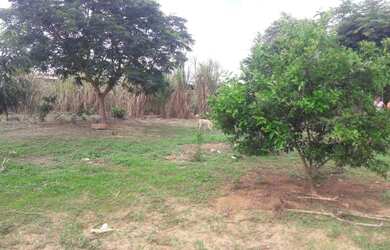 Imagem: A chácara possui 1.000m² de Área Privada e está localizado