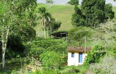 Imagem 13: Linda Fazenda em Ipiaú Bahia