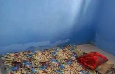 Imagem 5: Vende-se casa na ilha de Maré Botelho