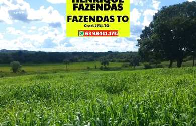 Imagem: A fazenda possui 145200m² de Área e está localizado em Goianorte