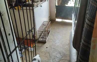 Imagem 4: Casa. Varanda, 1 Banheiroe2 Dormitórios