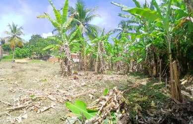 Imagem 3: Lote de 200 m² em Morro de São Paulo