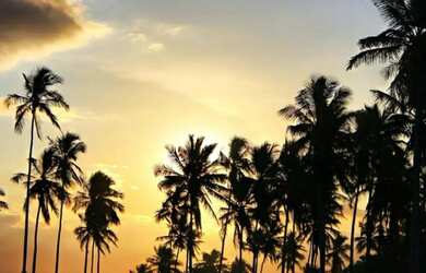 Imagem 11: Casa de Praia Aracruz - Aluguel Temporada