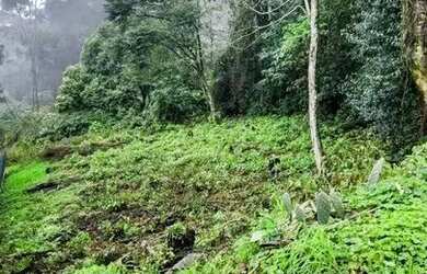 Imagem 6: Terreno para Venda em Nova Petrópolis, Centro