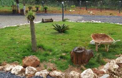 Imagem 9: Chácara 7.300 metros valor 700.000 em unai mg