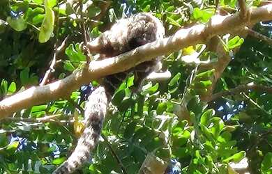 Imagem 14: Casa Maravilhosa em Condomínio Fechado em - São Gonçalo - RJ