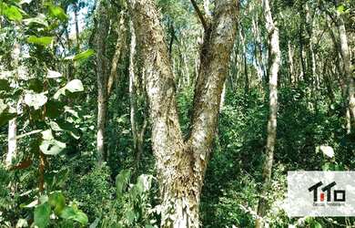 Imagem 2: Terreno à venda, 1270 m² por R$ 220.000,00 - Capital Ville I - Cajamar/SP