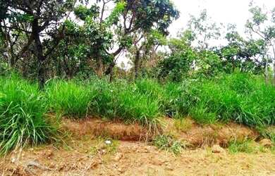 Imagem: O terreno possui 300m² de Área e está localizado em Centro