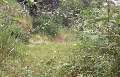 Imagem 6: Terreno em Condomínio para Venda em Mangaratiba, Condominio Portobello