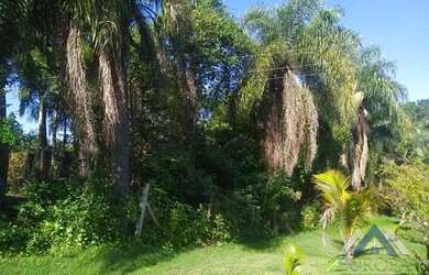 Imagem 7: Terreno à venda, 4500 m² por R$ 180.000,00 - Água do Pari - Jataizinho/PR