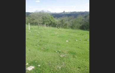 Imagem 3: Terrenos por carro. 500m² de Área