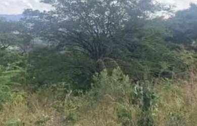 Imagem: O terreno possui 500m² de Área e está localizado em Brumadinho