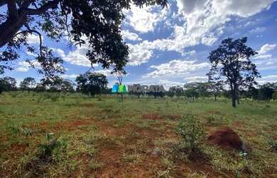 Imagem 4: FAZENDA À VENDA - 166 HECTARES - REGIÃO DE CURVELO MG