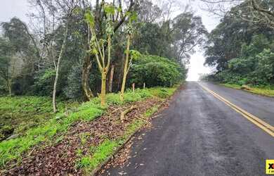 Imagem 7: Terreno para Venda em Nova Petrópolis, Centro