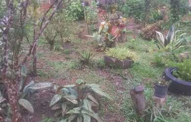 Imagem 12: Chacara prox a rodovia apenas 135 mil reais