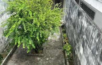 Imagem 6: ALUGO / CASA NA PRAÇA 14 / 3 MIL E CAUÇÃO DE 3500 . BEM LOCALIZADA