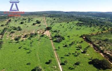 Imagem 8: Fazenda com 1.500 hectares - 20 km de Montes Claros