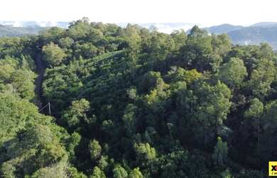Imagem 6: Sítio / Chácara para Venda em Nova Petrópolis, Linha Olinda