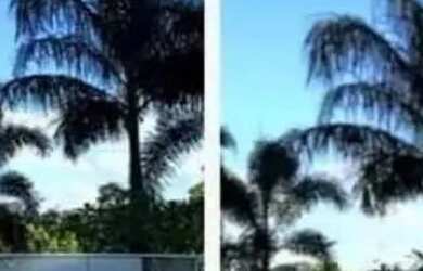 Imagem 2: Apto no Jardim Belo Horizonte de 2 Qtos e 1 Banho por 190 Mil