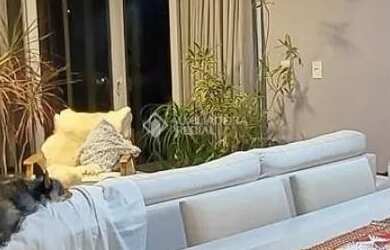 Imagem 6: casa para alugar na Agronômica