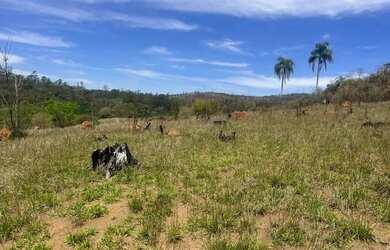Imagem: Invista em terreno venha conhecer