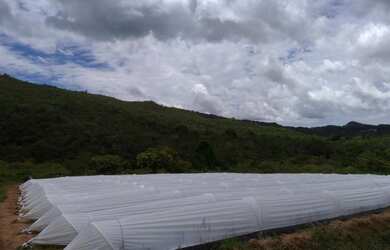 Imagem 4: Linda fazenda com 27 Hectares na champada diamantina