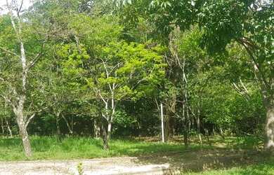 Imagem 7: Lote em condomínio para venda possui 305 metros quadrados em Residencial...