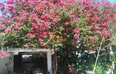 Imagem 8: Santana de Parnaíba - Casa Padrão - Alphaville 09