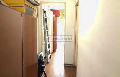 Imagem 14: Sobrado miolo Ipiranga 3 dormitórios 1 vaga - Sótão - terraço