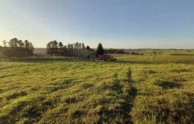Imagem: A fazenda possui 190.000m² de Área, Imóvel novo e está