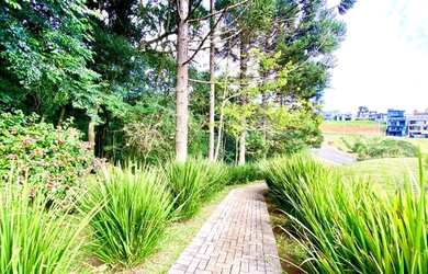 Imagem 7: Terreno à venda por R$ 285000.00, 300.00 m2 - COLONIA DONA LUIZA - PONTA...