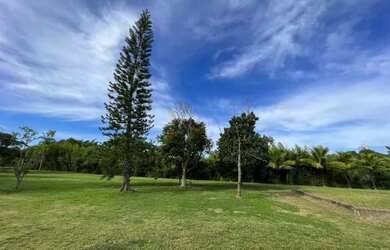 Imagem 12: Sítio com 5536m² em Maricá