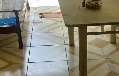 Imagem 6: Aluga-se uma casa em enseadas dos corais em gaibu