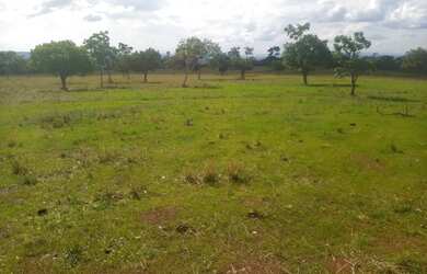 Imagem 4: Fazenda de 625 Hectares de Terras de Cultura e Cerrado Vermelho, Muita...