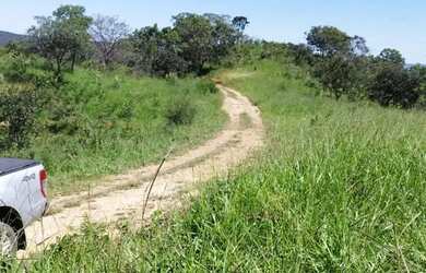 Imagem 4: Fazenda à venda, zona rural, São Miguel do Passa Quatro, GO