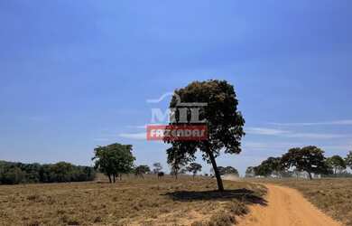 Imagem 11: Fazenda 147,3 alqueires 713 hectares Bom Jardim de Goiás