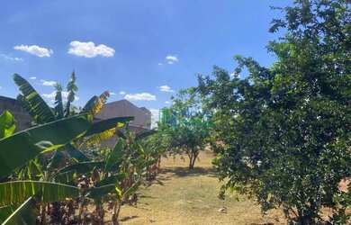 Imagem 3: Terreno à venda, 500 m² por R$ 135.000 - Altos do São Francisco - Piracicaba/SP